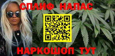 крисы Донской