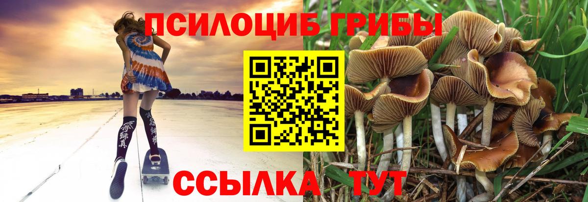 Псилоцибиновые грибы ЛСД Назрань